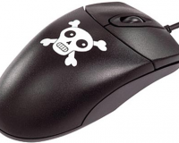 Logiciels pirates