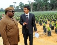 Olam Gabon