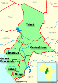 Assurance: la carte rose Cemac fait son bilan