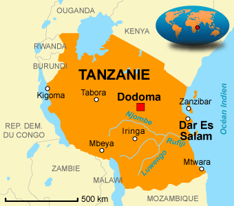 La Tanzanie et l&rsquo;Inde visent à porter leurs échanges commerciaux à 10 milliards de dollars