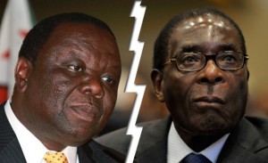 Zim politique