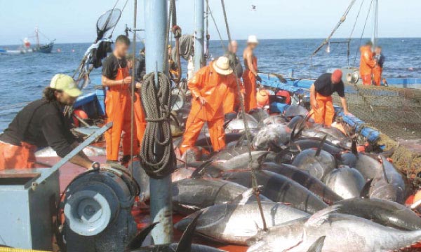 Accord de pêche: quand le Maroc, la Mauritanie et le Sénégal négocient séparément avec l’Europe des 27