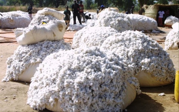 Coton Mali