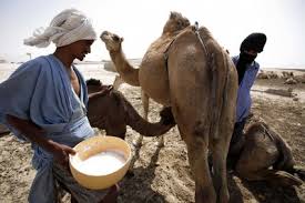 Mauritanie: les nouveautés de la fiscalité douanière