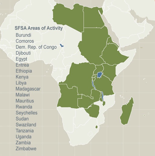Pour une harmonisation du droit des affaires et du droit économique dans l’espace COMESA