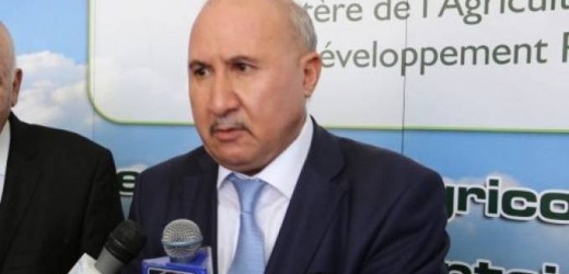 L’Agriculture contribue pour 9% au PIB de l’Algerie