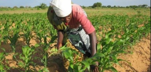 La Banque Mondiale accorde 100 millions de dollars à la RDC