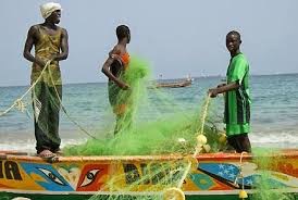 Mauritanie-pêche: le chiffre d’affaires de la SMCPP en hausse
