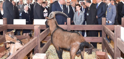 SIAM 2015 : le Plan Maroc Vert au menu