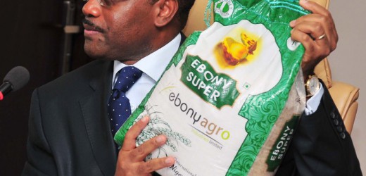 Dr. Akinwumi Adesina, first agriculture economist to become President of the African Development Bank