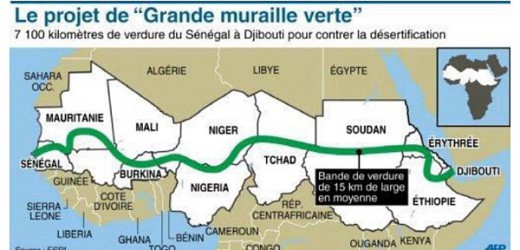 Nouakchott, capitale de l&rsquo;Initiative  Panafricaine  de la Grande Muraille Verte