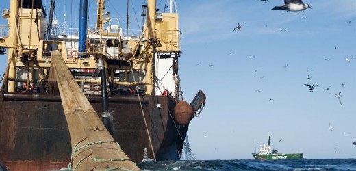 Mauritanie/UE : 60 millions d’euros de redevance dans le nouveau protocole de pêche