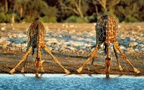 Five East African countries preparing regional climate bill -media