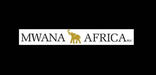 Négoce: Mwana Africa s’impose une cure pour faire peau neuve