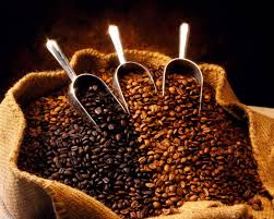 Café : l’Ouganda détrône l’Ethiopie