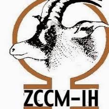 Zambie: l&rsquo;Etat céde 17% de la ZCCM aux investisseurs nationaux