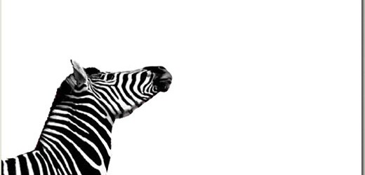 Investec finalise son nouveau fonds Afrique