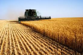 COMESA : African Potash met en poche la filière potasse et le marché des fertilisants