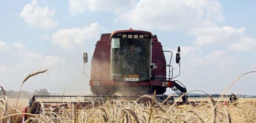 La Guinée finance la construction d’un complexe agro industriel à Timba