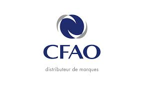 Portrait des nouveaux consommateurs africains