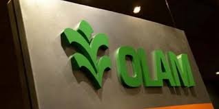 Le singapourien Olam rachète la branche cacao d’ADM