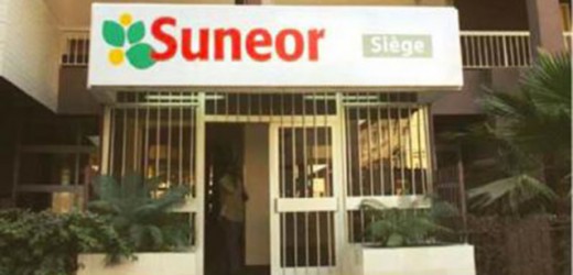 Sénégal : Olam négocie le rachat de Suneor