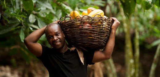 Un prix  d’achat « historique » de 1 000 francs CFA le kilogramme pour le cacao ivoirien