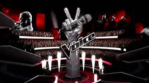 The voice Afrique francophone: la plus belle voix d’Afrique francophone!