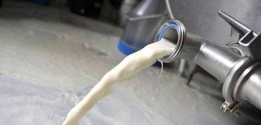 Cameroun : La production laitière chute de 12% en 2021