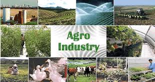L’agro-écologie, une solution pour éradiquer l’insécurité alimentaire, selon la FAO