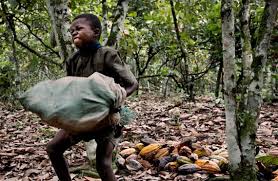 Côte d’Ivoire: Les Etats-Unis financent la lutte contre le travail des enfants dans les plantations de cacao