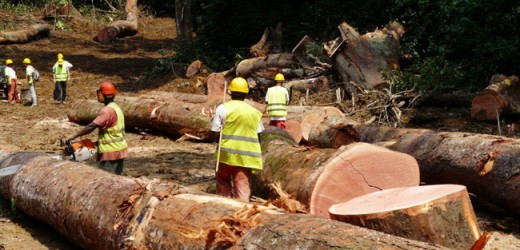 Gabon: l’Etat s’engage à payer ses dettes TVA