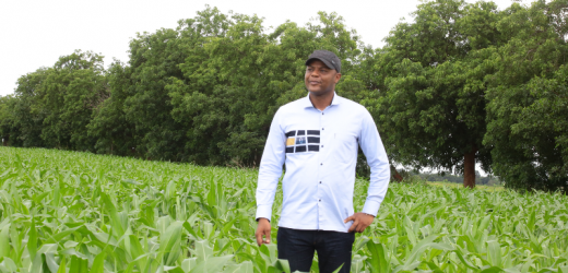 Sénégal : Vers la création de 4 domaines agricoles pour un financement de 29 milliards de F CFA
