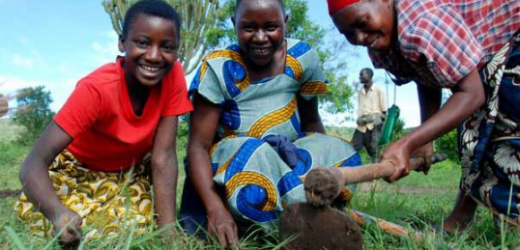 Un fonds d’investissement en gestation pour préserver les terres agricoles