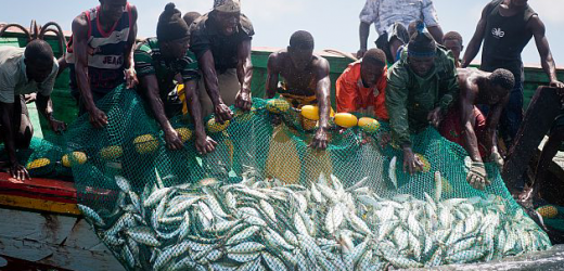 Sénégal : Deuxième édition du Salon Maritime de Dakar