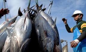 Guinée Bissau : Fujian Shai Corp investit plus de 300 millions de dollars dans la pêche et l’hôtellerie