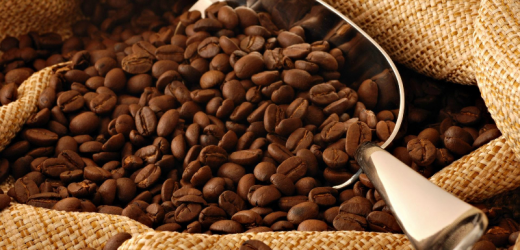 Ethiopie : Vers une hausse de 45% des exportations de café