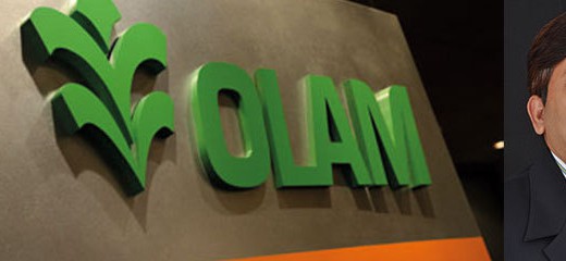 Olam investit 275 millions de dollars dans la transformation de blé au Nigeria