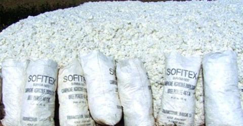 ob_270c09_sofitex