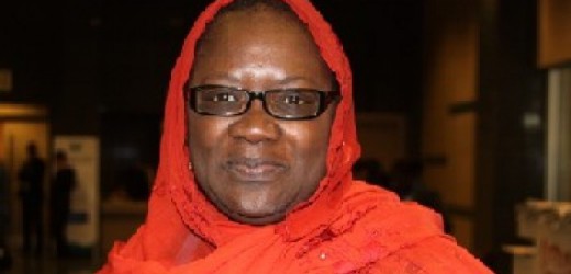 OMVS: Anta Seck prend les commandes du PGIRE II