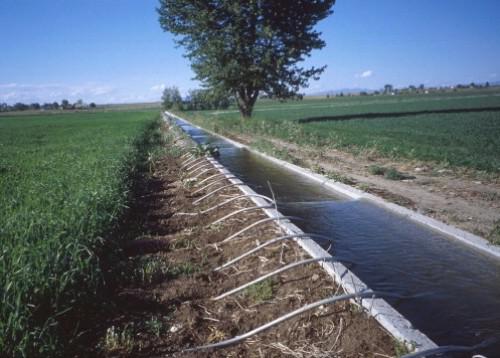 2210-14446-kenya-trocaire-finance-un-projet-d-irrigation-de-20-millions-de-shillings-dans-le-comte-de-mbeere_L