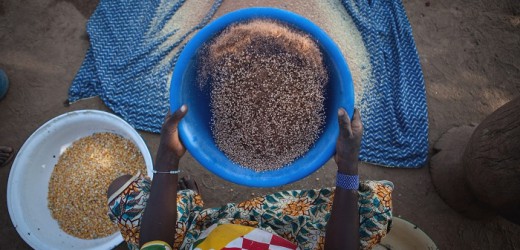 Zimbabwe : Le PNUD mobilise 60 millions de dollars contre la faim