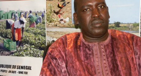 Sénégal : L’ANIDA  a injecté 17 milliards de F CFA dans le domaine agricole