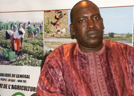 El Hadj Malick Sarr, DG de l'ANIDA
