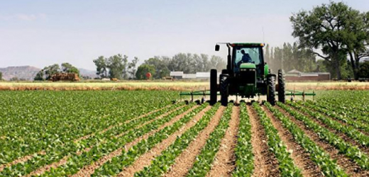 Maroc : Le groupe Saham lancera finalement son assurance agricole