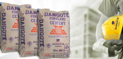 Nigeria : Résultats en dents de scie pour Dangote Cement en 2016