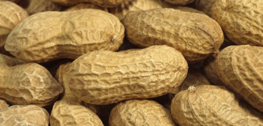 Sénégal : la production arachidière s&rsquo;écroule à fin février 2016