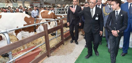 1 200 exposants au salon marocain de l&rsquo;Agriculture