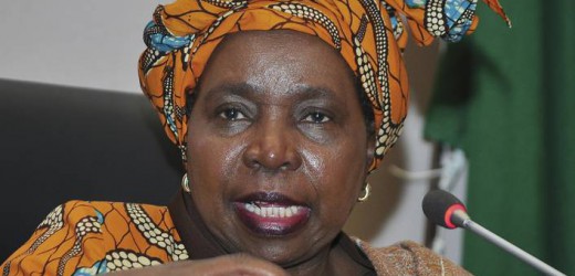 Union africaine: 3 noms pour succéder à Zuma