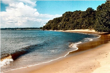 Ecotourisme : le Chinois Tianyuan va aménager une plage au Cameroun